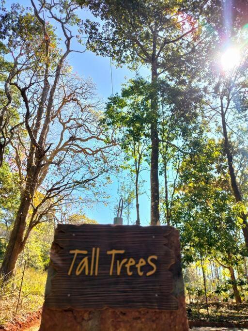 Tall Trees - Modern Forest Villa In Wayanad Султан Батери Екстериор снимка