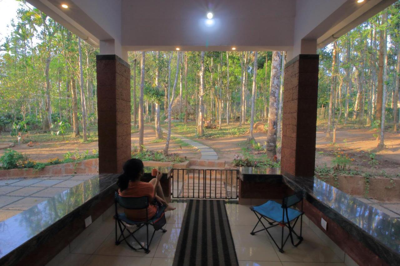 Tall Trees - Modern Forest Villa In Wayanad Султан Батери Екстериор снимка