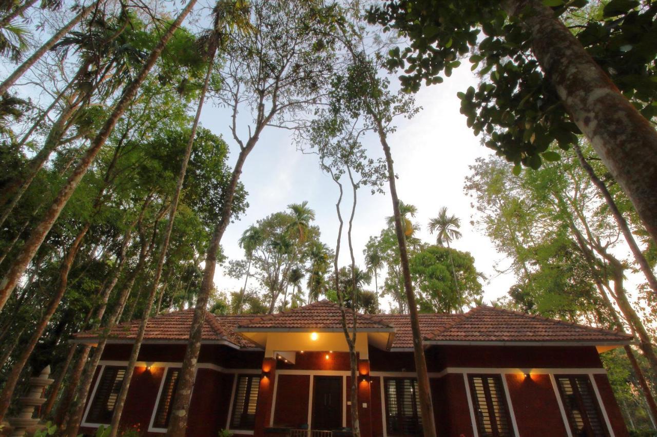 Tall Trees - Modern Forest Villa In Wayanad Султан Батери Екстериор снимка