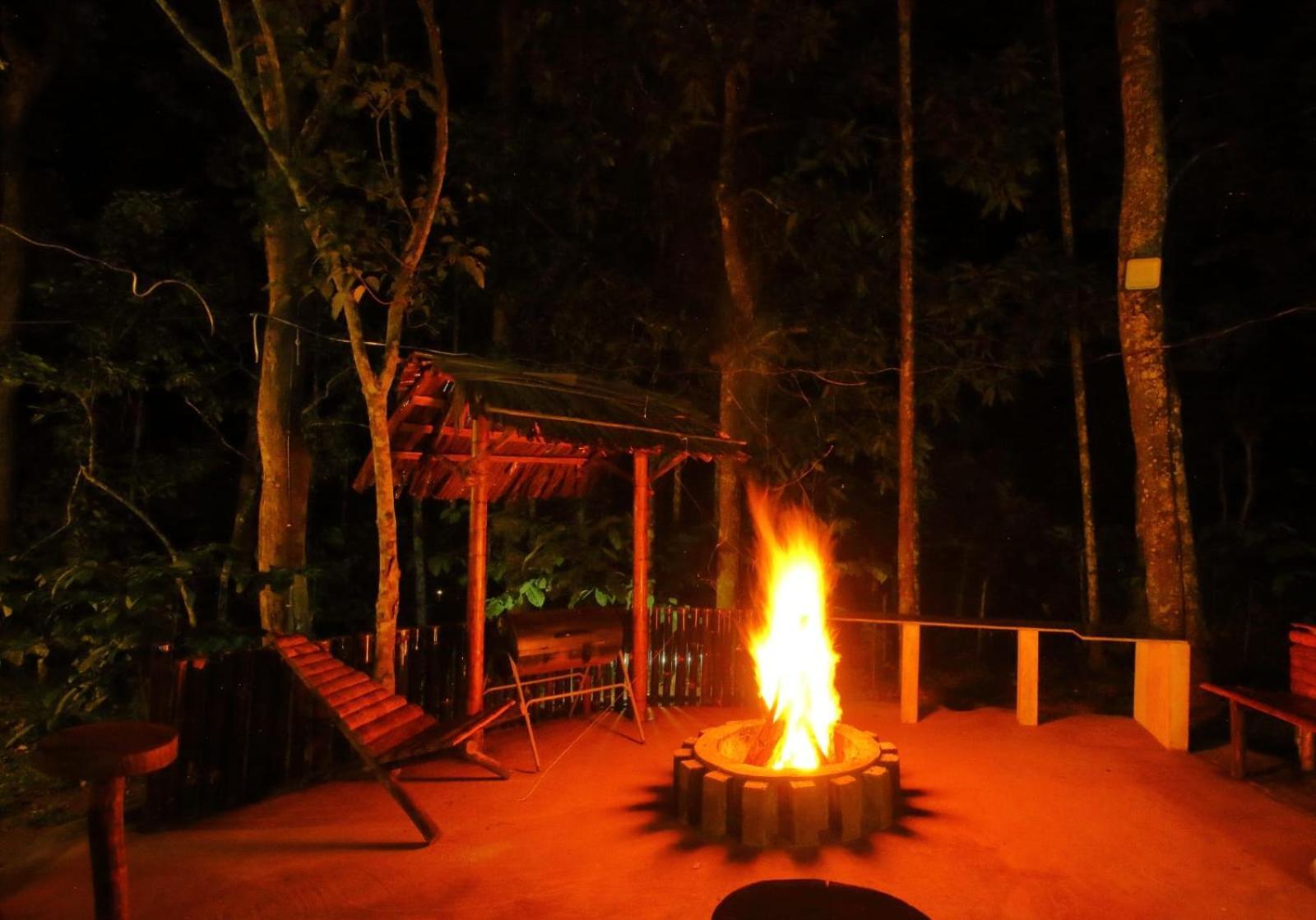 Tall Trees - Modern Forest Villa In Wayanad Султан Батери Екстериор снимка