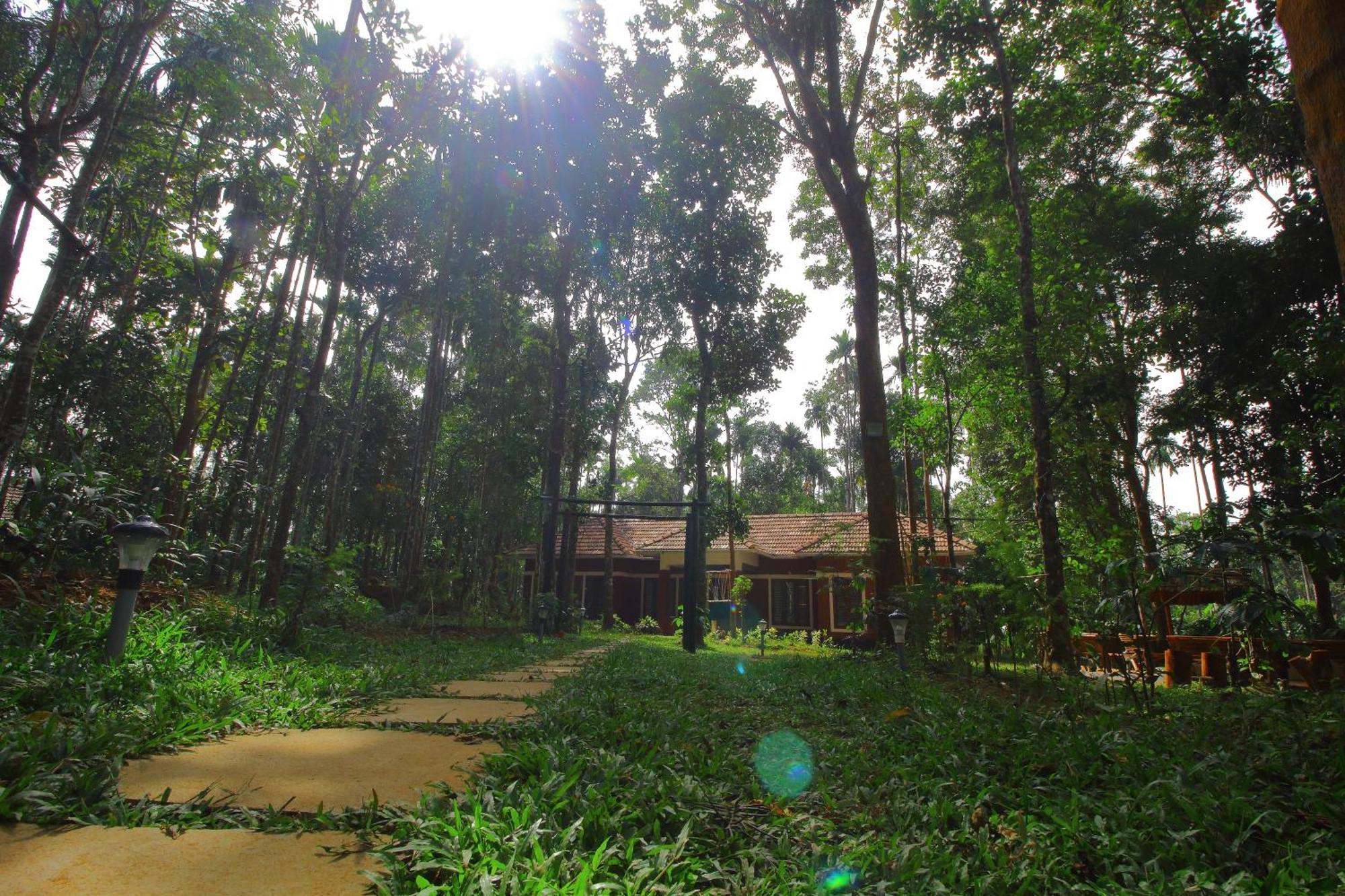 Tall Trees - Modern Forest Villa In Wayanad Султан Батери Екстериор снимка